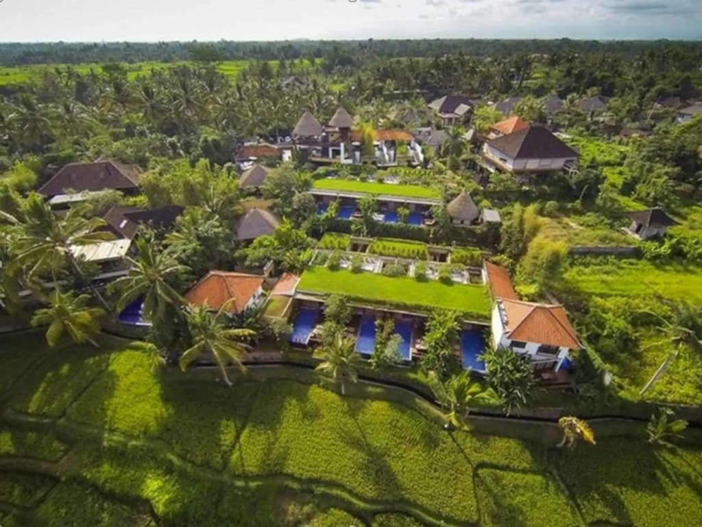 Ubud Green Resort Villas Powered by Archipelago - photo 22
