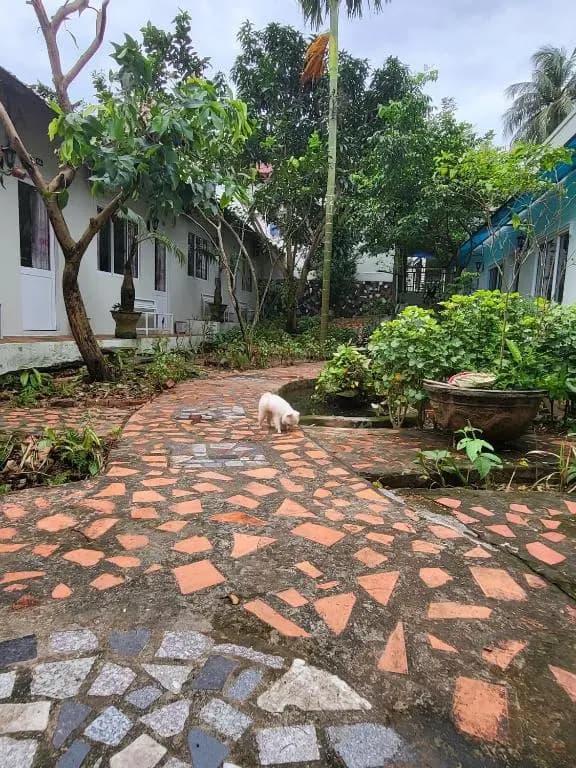 Davi hostel - photo 3