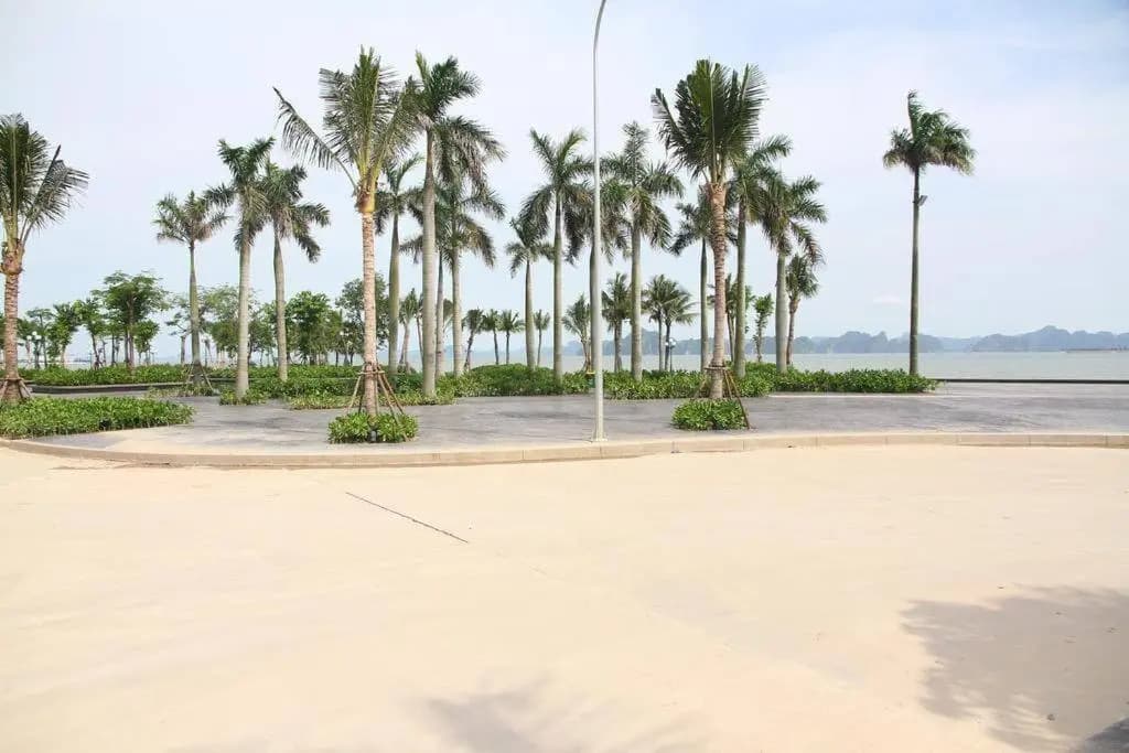 Halong Charming Villa 8 Rooms - photo 10