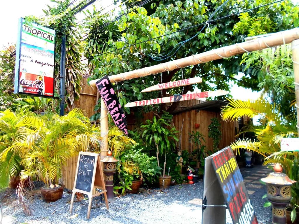 Tropical Footprints - photo 15