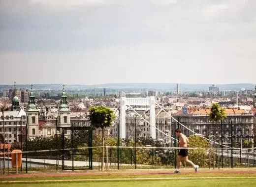Panorama Penthouse - photo 9