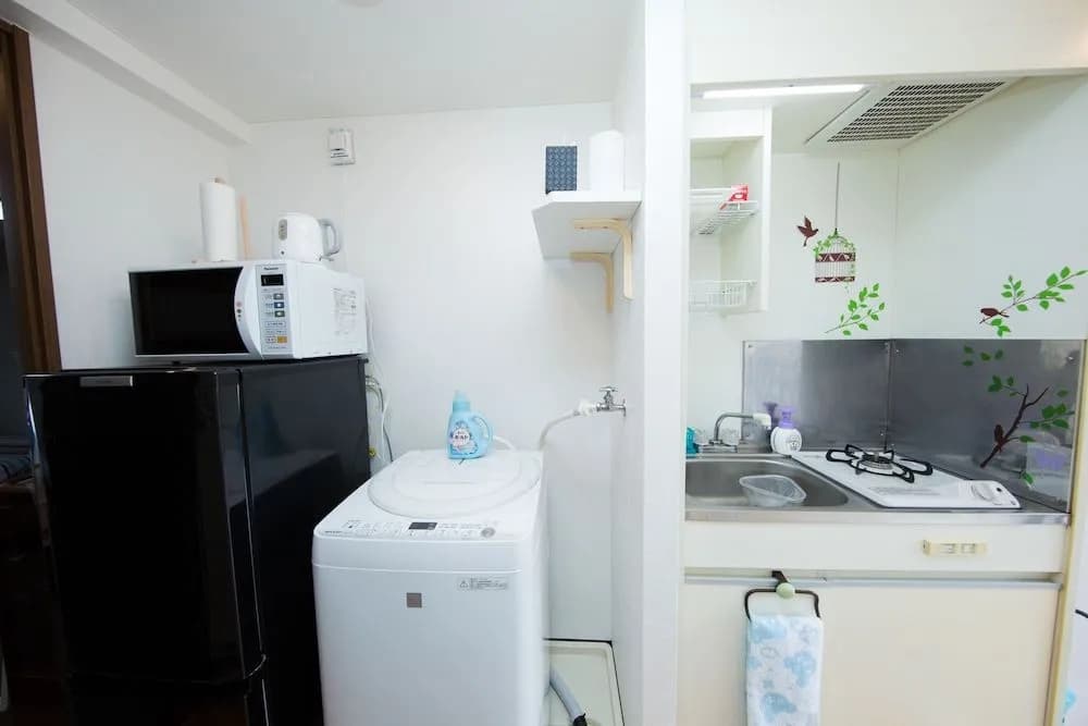 Tatsuya house 305 - photo 4