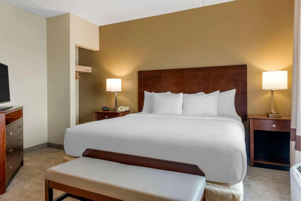 Comfort Suites Near Universal Orlando Resort - photo 7