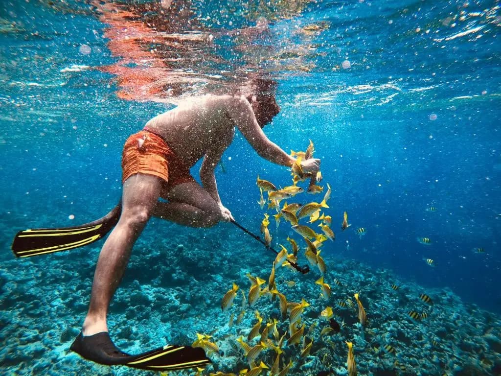 Niru Isle Maldives - photo 10