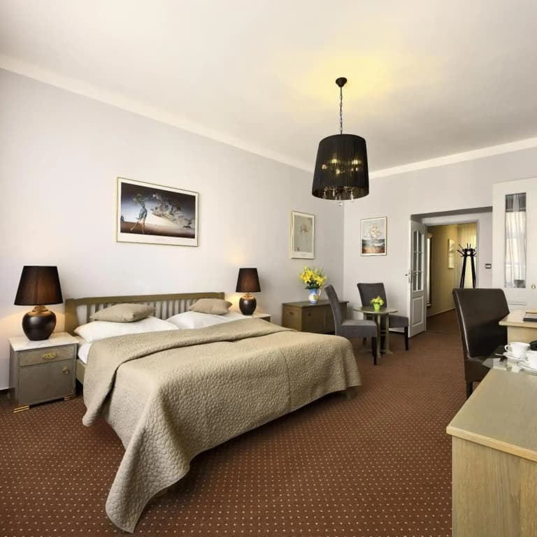 Hotel Salvator - photo 39