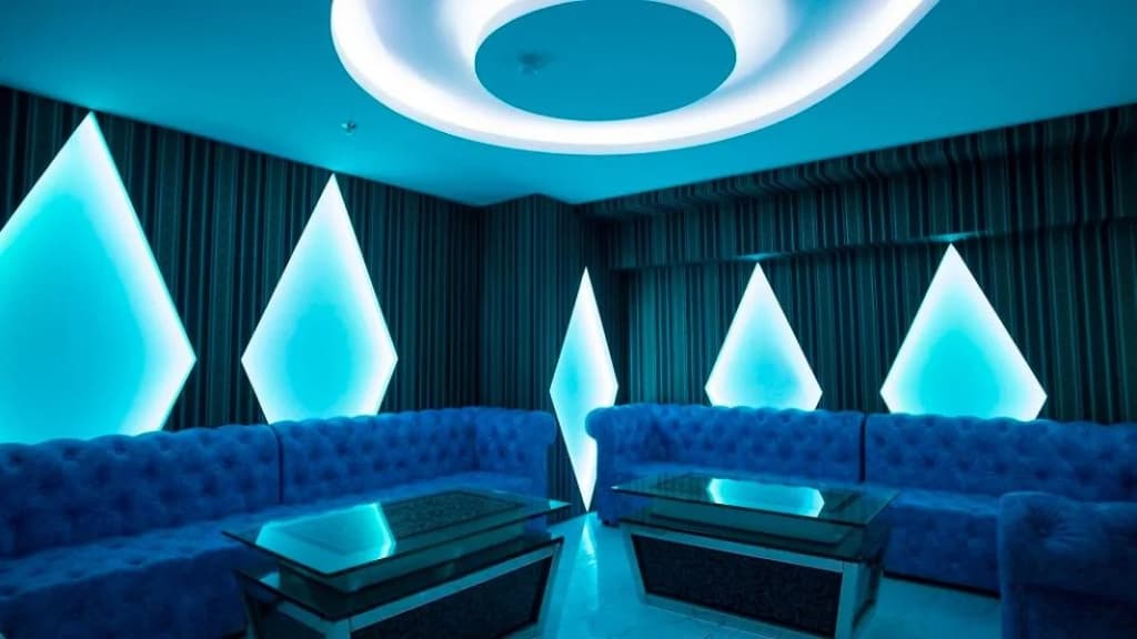 Mismo Airport Hotel - photo 15