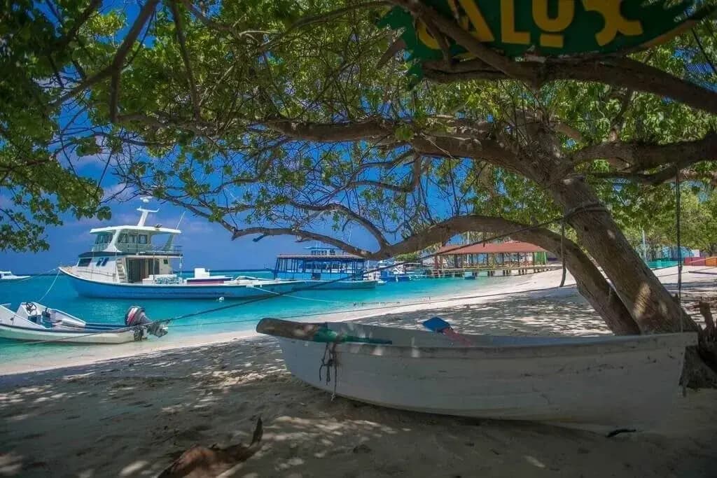 Canopus Retreat Thulusdhoo - photo 26