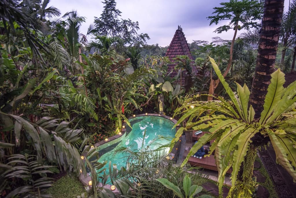D'Bale Ananda Ubud Villa - photo 9