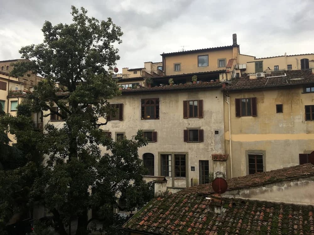 Cellini - main photo