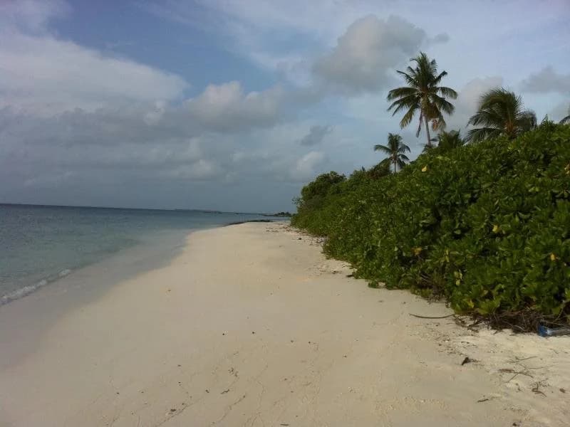Roashanee Guest House - photo 18