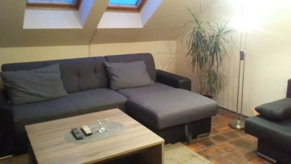 Smeralova Apartments - photo 13