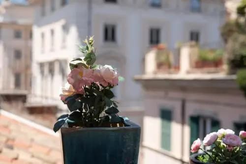 Design Loft Campo Dei Fiori - main photo