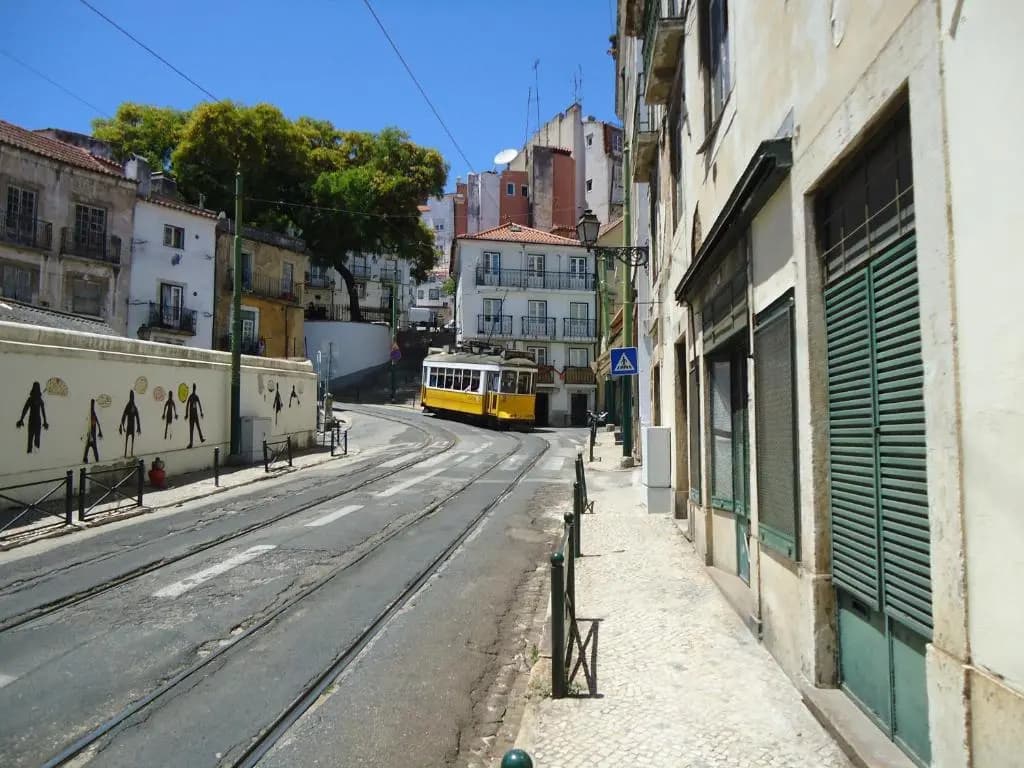 Alfama 2 You - photo 8