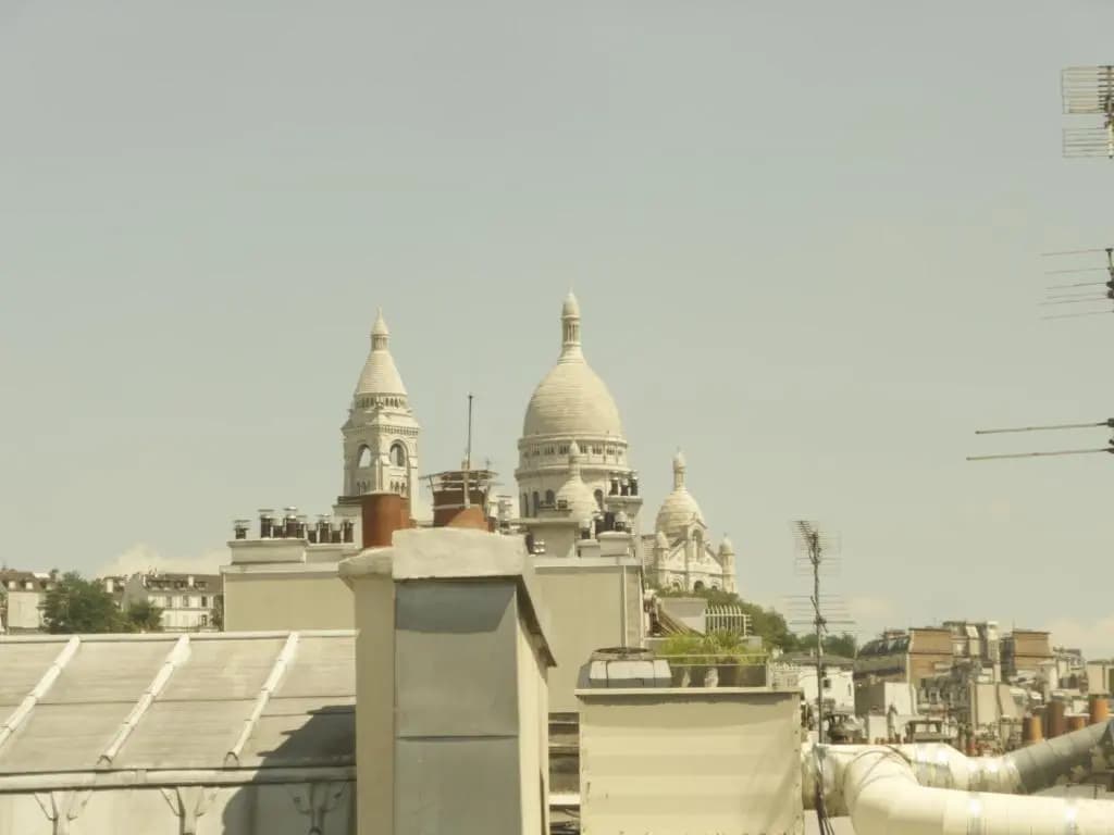 Hotel de Paris Saint Georges - photo 12