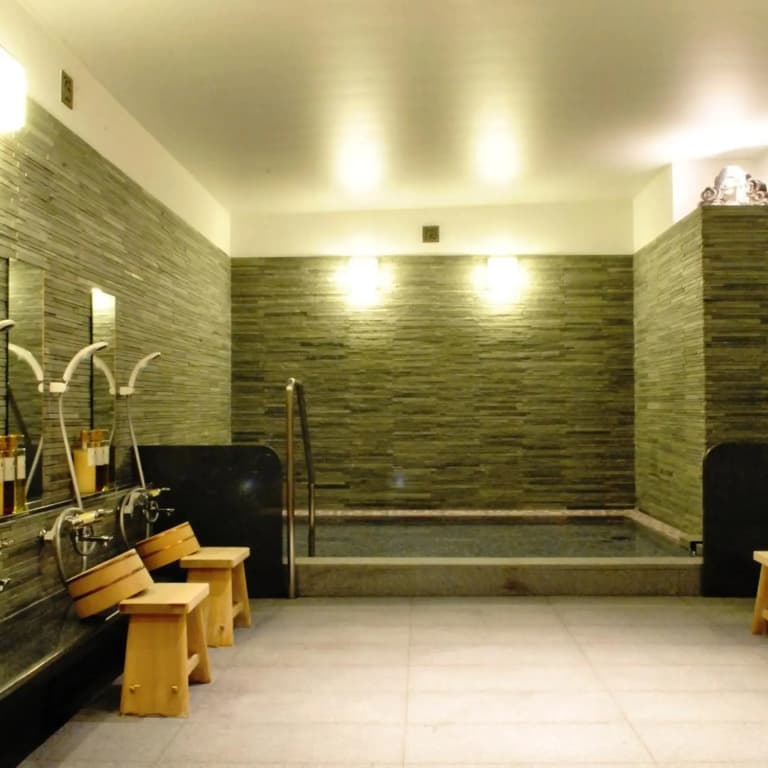 Ryokan Nissho-besso - photo 37