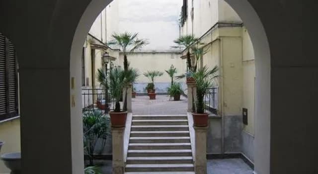 Kiara Guesthouse - photo 13