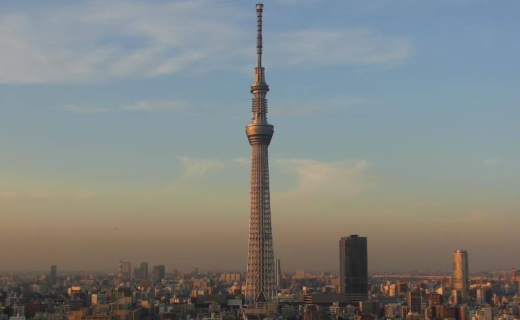 Sakura Sky Hotel - photo 19
