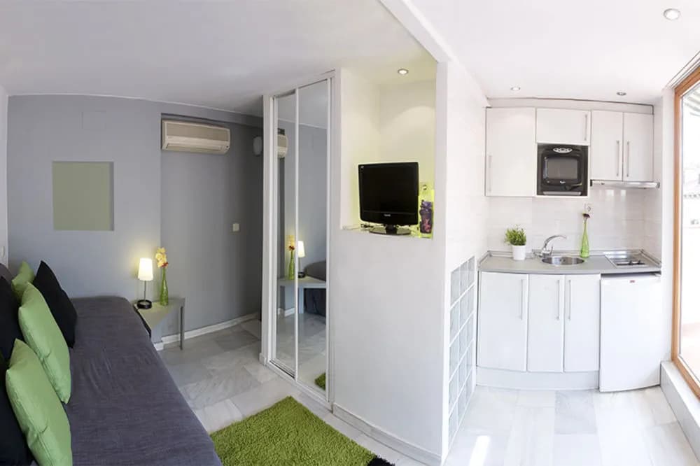 Apartamentos Puerta del Sol - photo 6