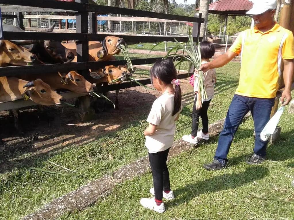 MTFF Farm Stay - photo 10