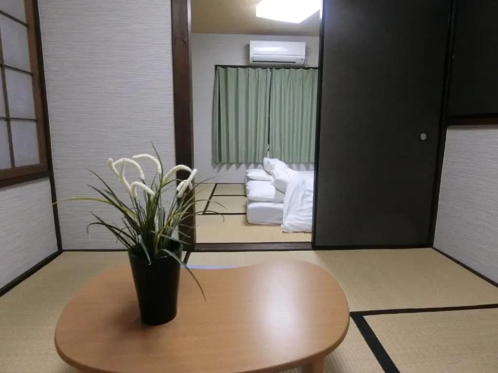 Hana Botan - photo 4