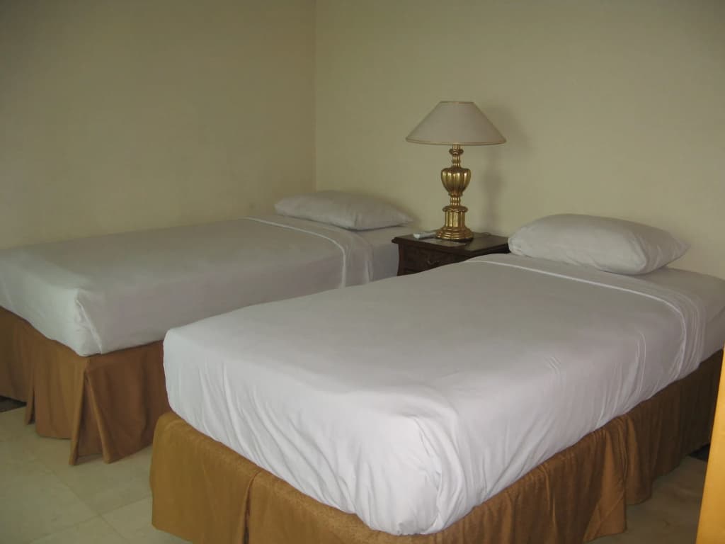 Batavia Hotel and Serviced Apartments - photo 4