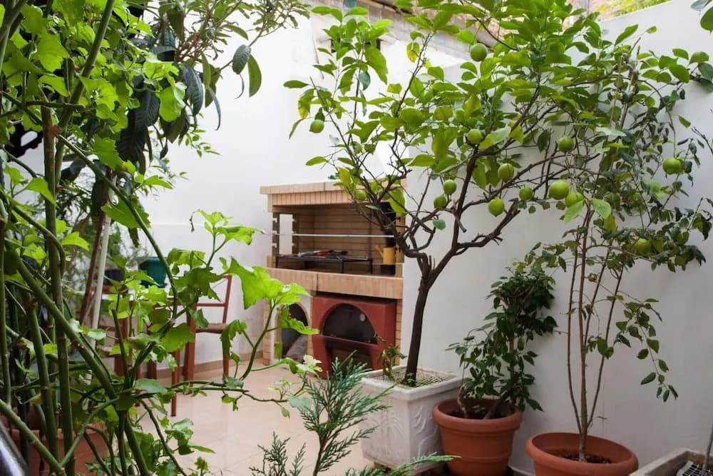 Psyri Neoclassical House w Yard - Free Parking - photo 13