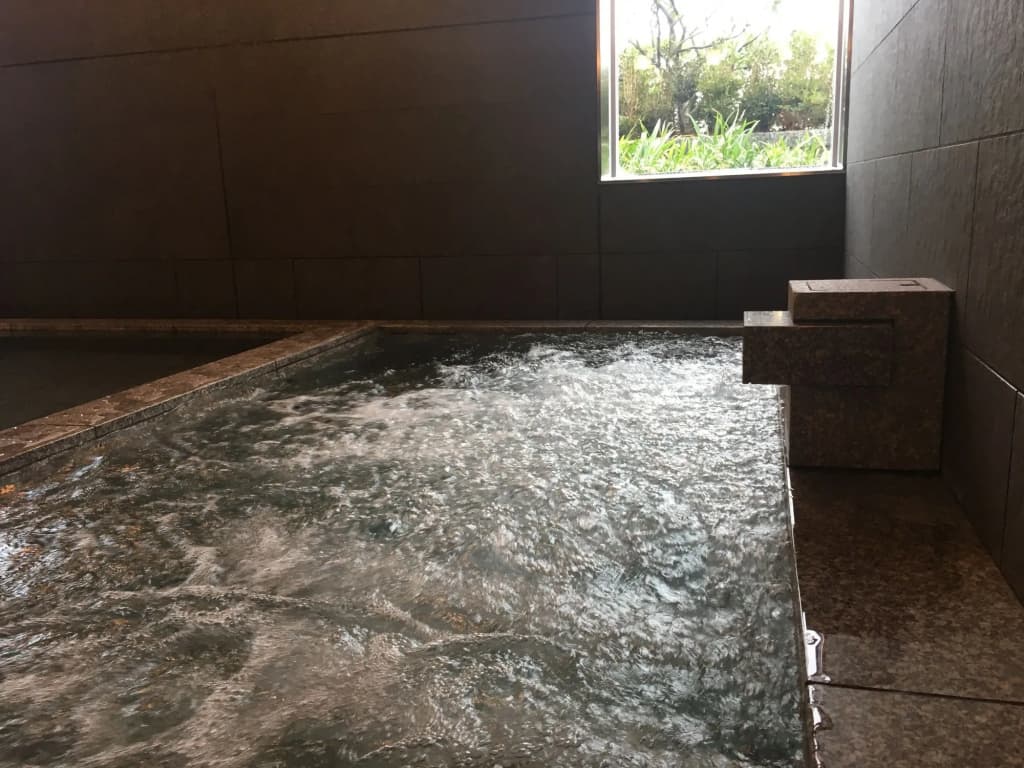 Nippon Seinenkan Hotel - photo 16