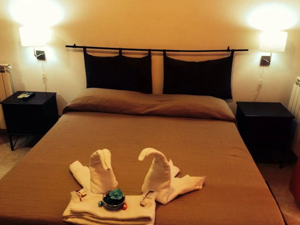 Dixi Bird Guesthouse - photo 6