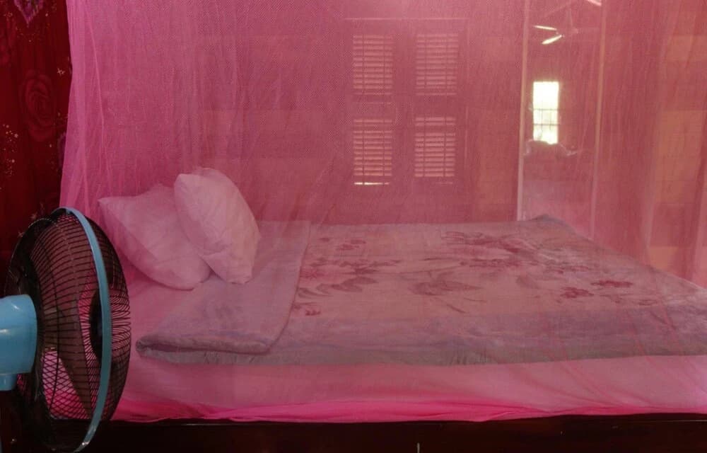 Yanick's Angkor Cottage - photo 5