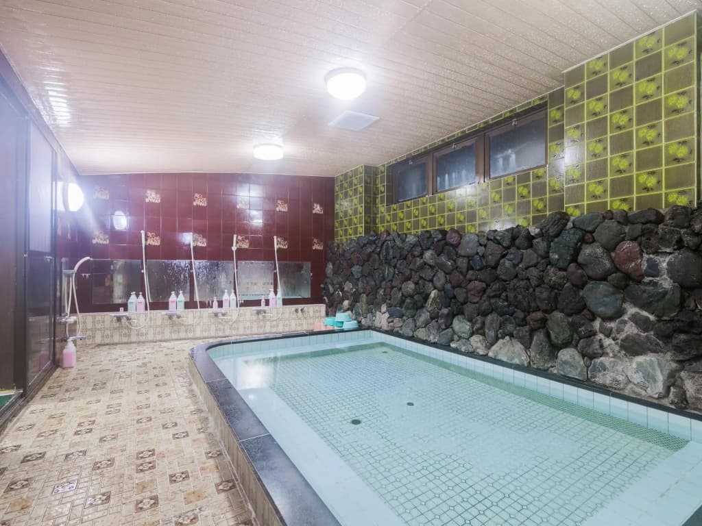 Kyoto Takao Kanko Hotel - photo 5
