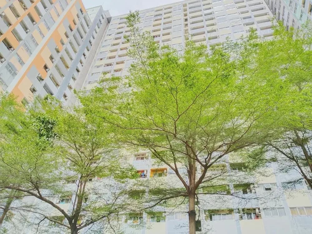 The Royale Sentra Tower Kuning - photo 46