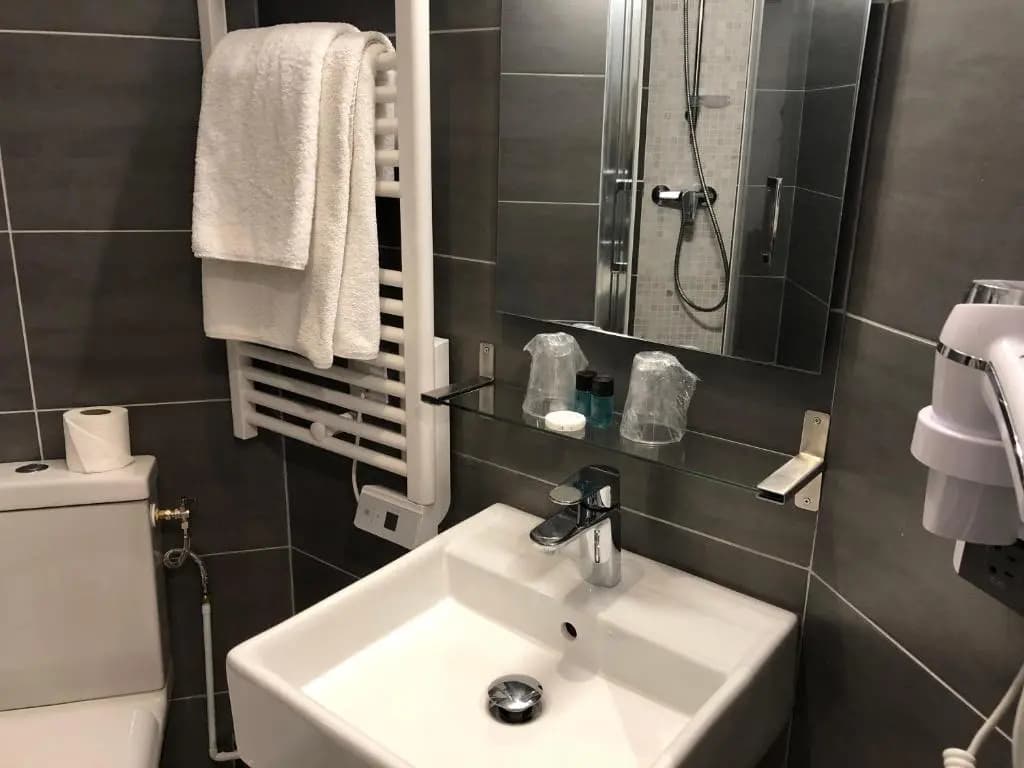 Hotel Alane - photo 8