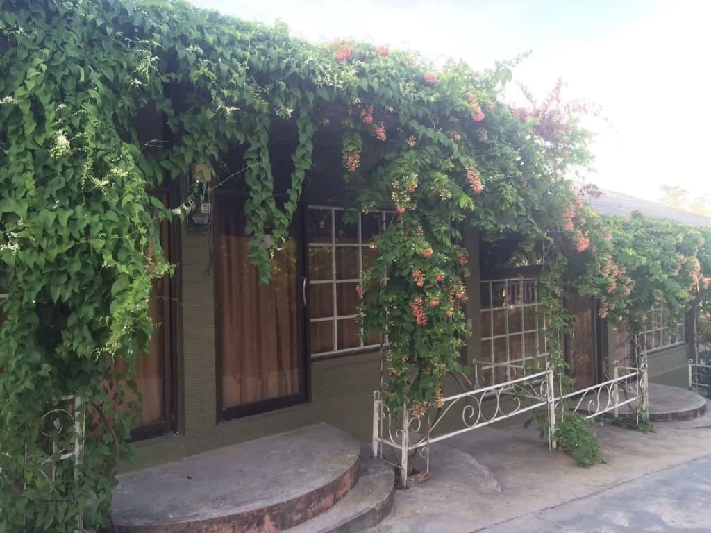 Supreeya Guesthouse - Hostel - photo 19