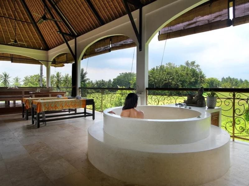 Frangipani Villas - photo 14