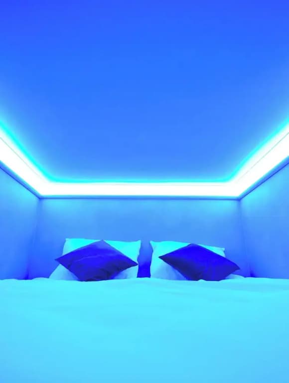 The Hyve Capsule hostel Amsterdam - photo 8