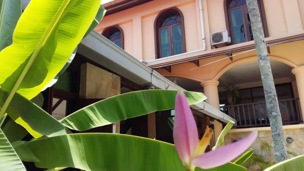 D'Feringghi Haus Hotel & Restaurant - photo 1