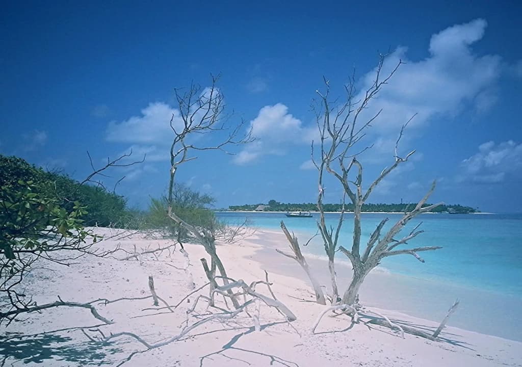 Hiyaa Ilaa - photo 34