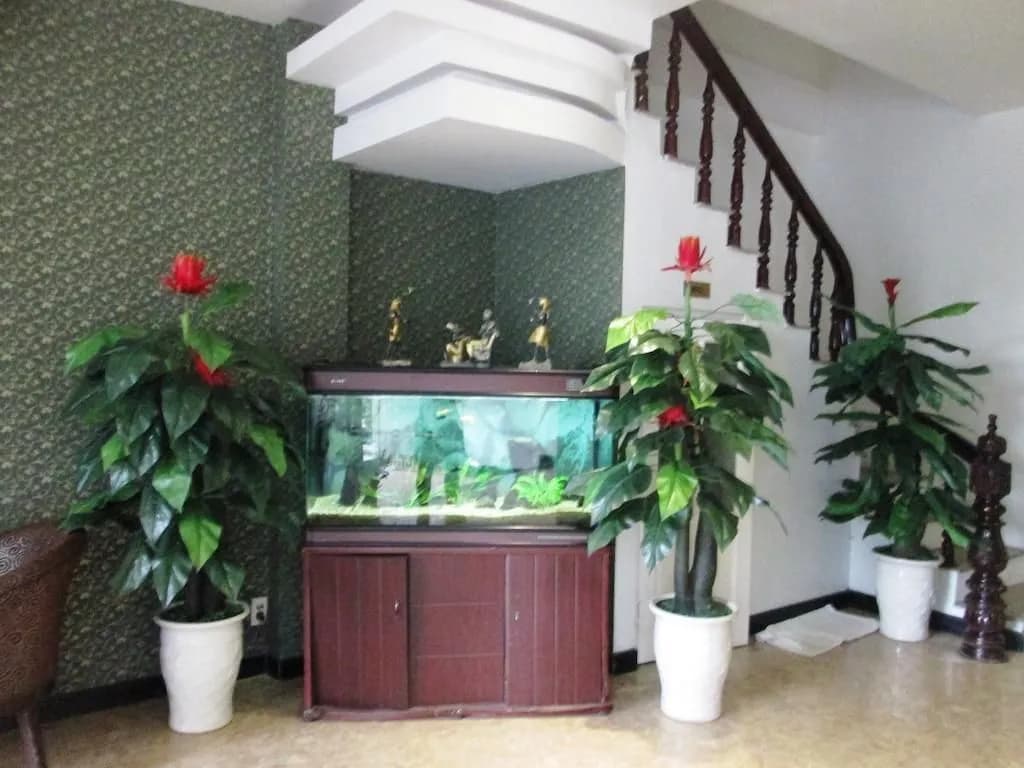 Pearl Hotel Dao Tan - photo 8