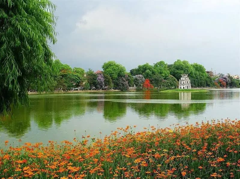 Camellia 5 Hotel - photo 11