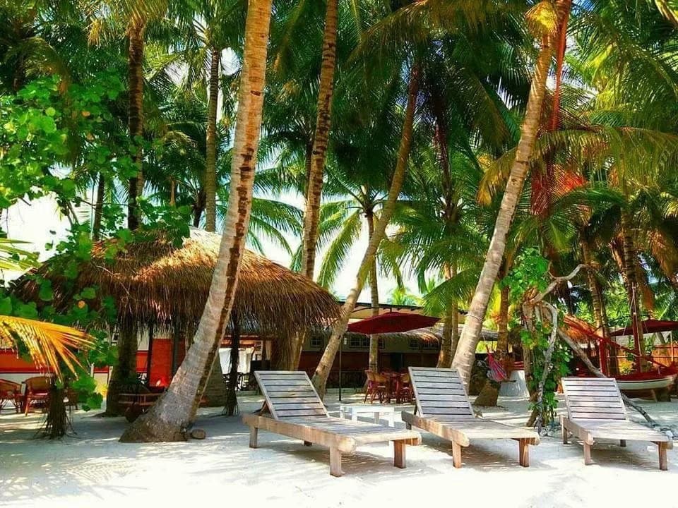 Vashafaru Inn - photo 10