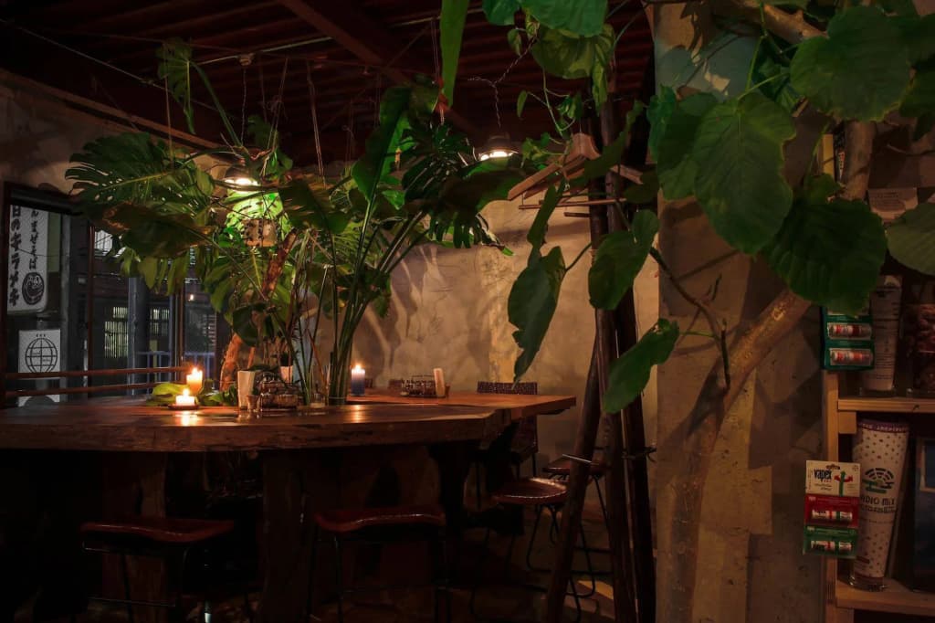 Lund house - Hostel - photo 25