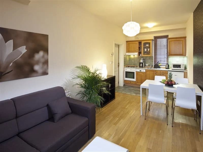 Apartments Wenceslas Square - photo 18