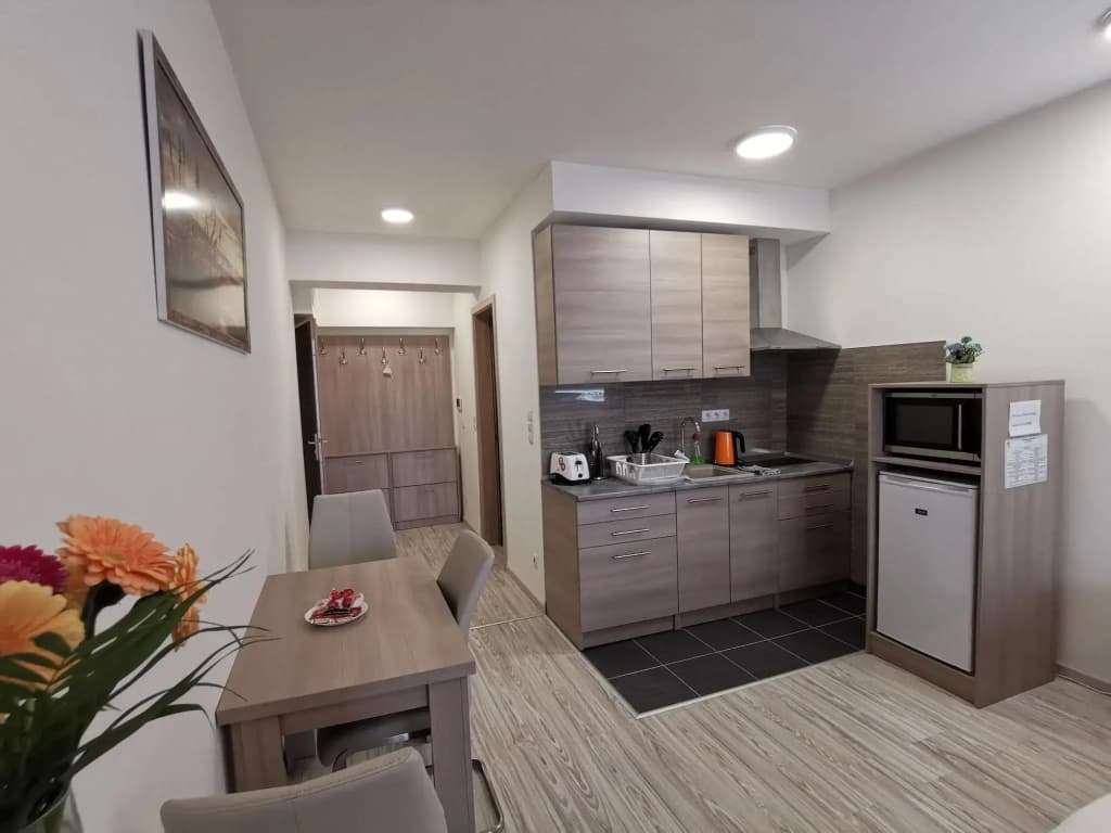 Corvin Holiday Apartment Hotel - photo 16