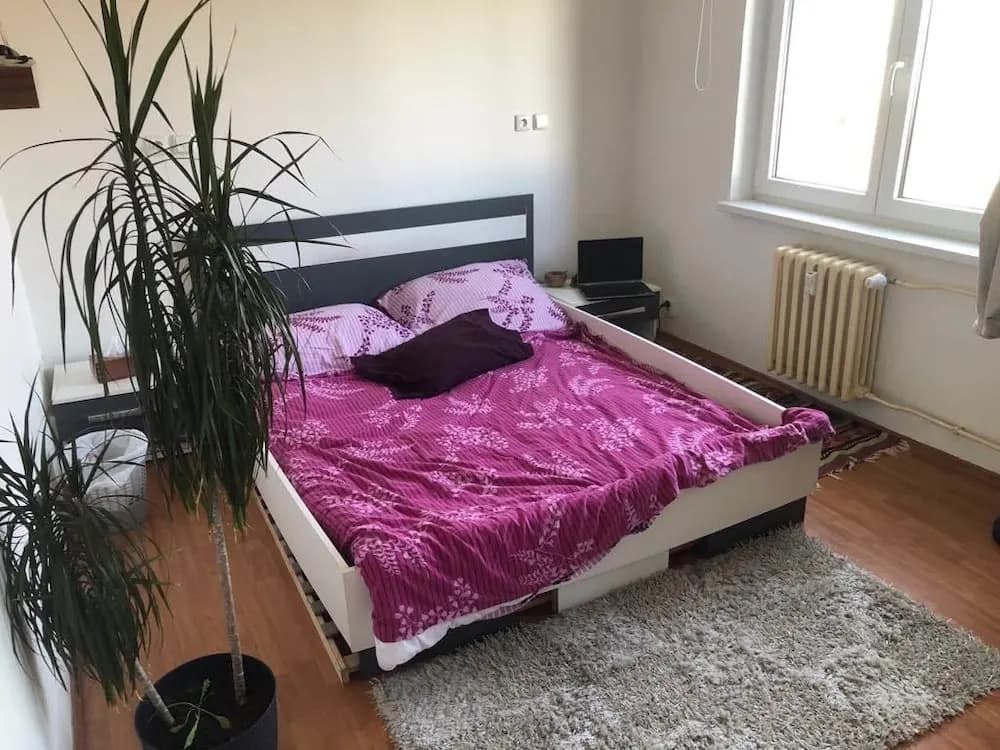 Shared Flat - photo 1