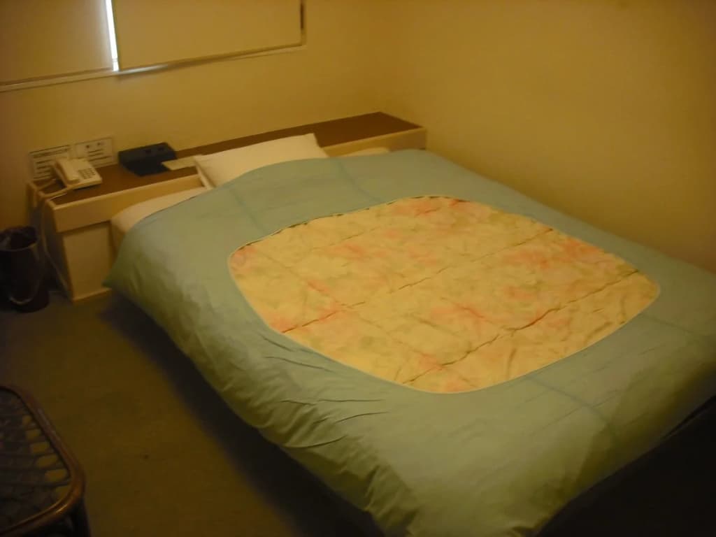 Hotel Rakusai - photo 3