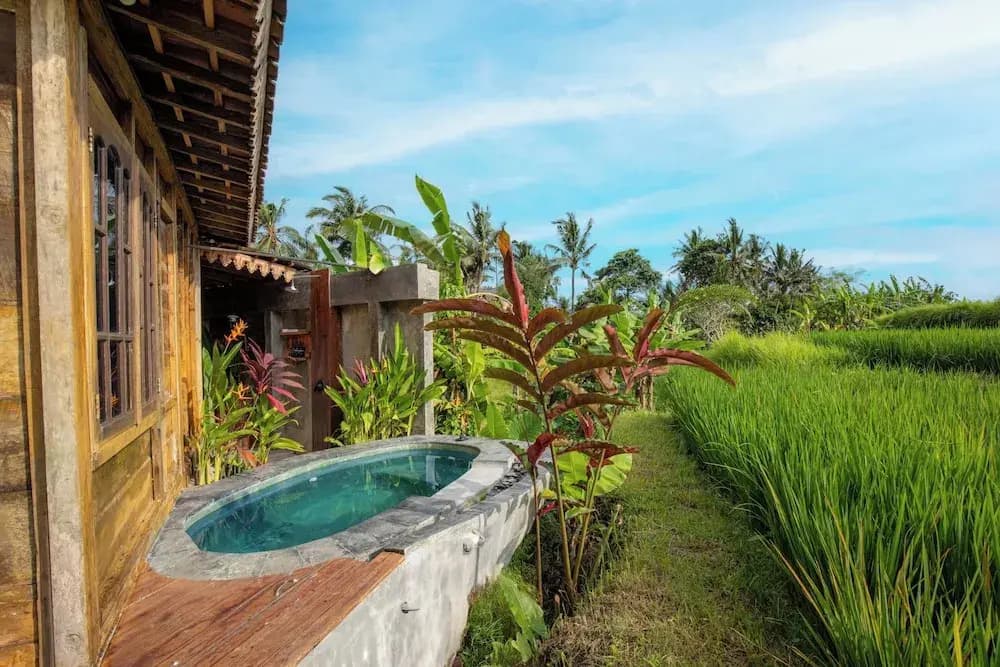 Abian Ubud View - photo 20