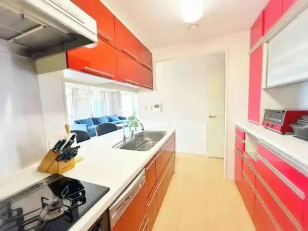 Namba Luxury Mansion - photo 11