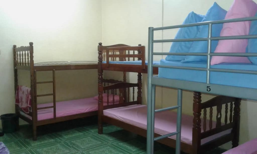 Zeeadam Backpackers - photo 3
