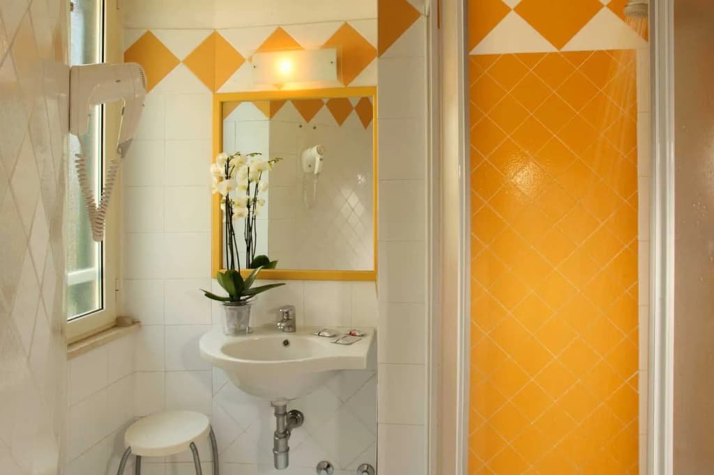 Hotel Alessandrino - photo 9