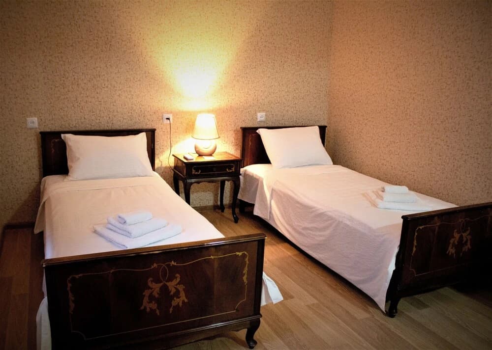 Twins Guesthouse - photo 3